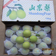 Proveedor de oro de la pera fresca de Shandong